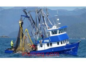 Kelebihan kapal penangkap ikan tipe purse seine