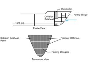 Collision bulkhead (profile and transverse view)
