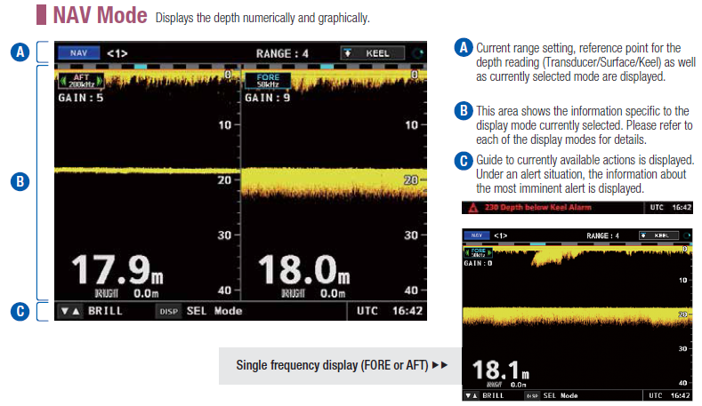 NAV Mode Displays the depth numerically and graphically