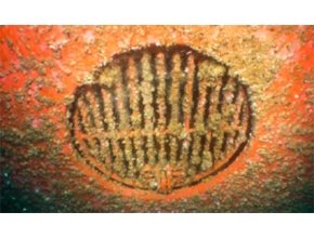 Peran Sea chest di Kapal