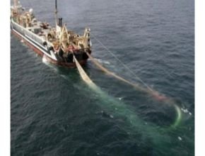 Kapal trawl sedang melakukan penangkapan ikan