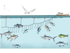 Penangkapan ikan dengan kapal jenis longline