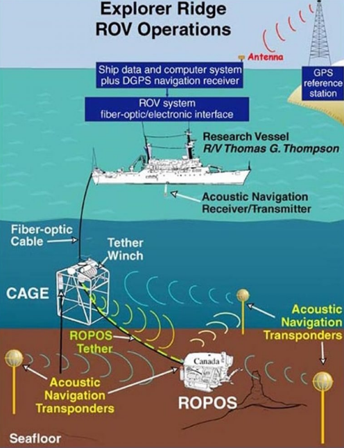 Remotely Operated Vehicle