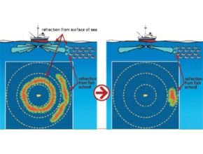 Avoid false response from side-lobe