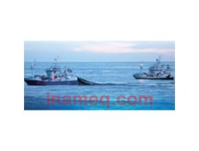 Fish Finder Echo Sounder Type KCE-300