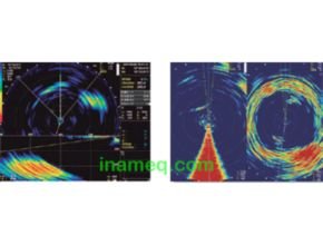 Scanning sonar for fishery