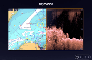 Display with DownVision™ Sonar
