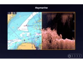 Display with DownVision™ Sonar