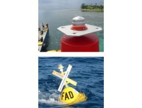 1–2NM+ Solar Marine Lantern1–2NM+ Solar Marine Lantern