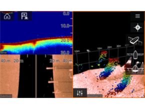 Advanced Sonar Features