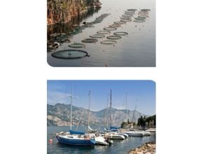 Mooring Buoy Sealite Application