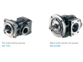Lubrication pump and lubrication oil pump