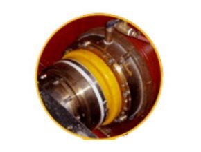 TG100 Seal Thordon bearing