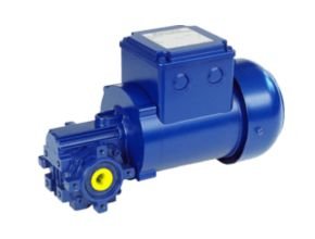 BS Series Small Industrial Worm Geared Motor