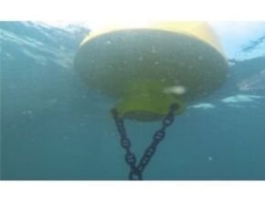 Sealite Complete Mooring Solutions (Chain, Hardware, Block)