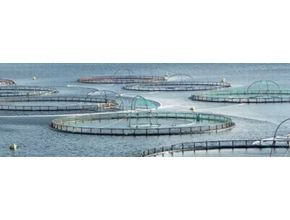 SBFL 160 Marine Lantern Application