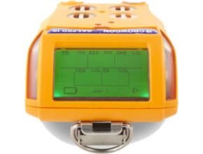 Gas Detectors Type Gas-Pro IR