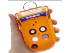 Portable Gas Detectors