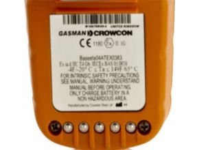 Portable Gas Detectors