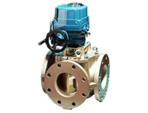ELectric Model GEF Valve
