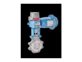 Jamesbury Wafer-Sphere Butterfly Valve